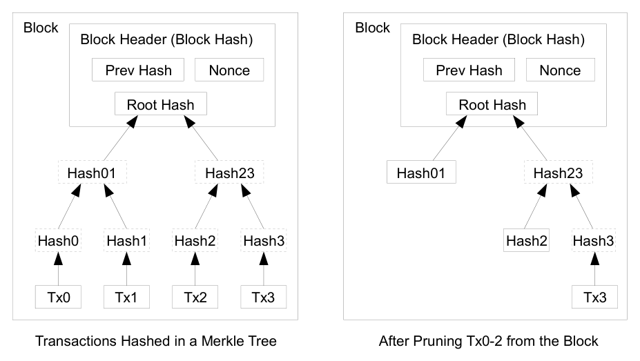 Diagram: transactions hashed in a Merkle tree; after pruning, only the root hash stays in the block header.
